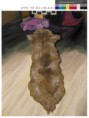 /album/paintings/%ea%b9%80%ec%88%98%ec%97%b0-144065-jpg/
