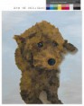 /album/paintings/%ea%b9%80%ec%88%98%ec%97%b0-144067-jpg/